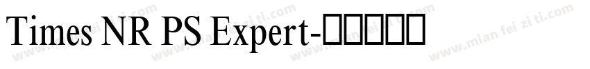 Times NR PS Expert字体转换